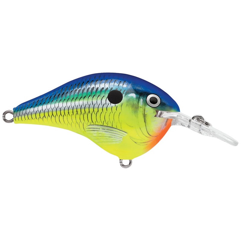 Rapala DT-6 - Parrot