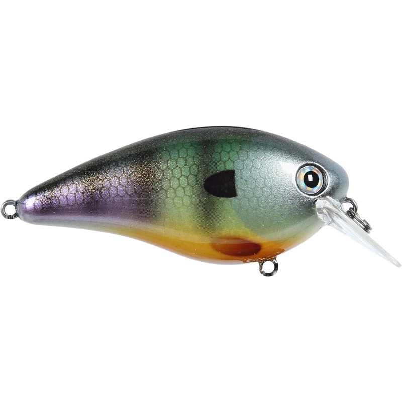 Strike King KVD Squarebill 2.5 - Neon Bluegill