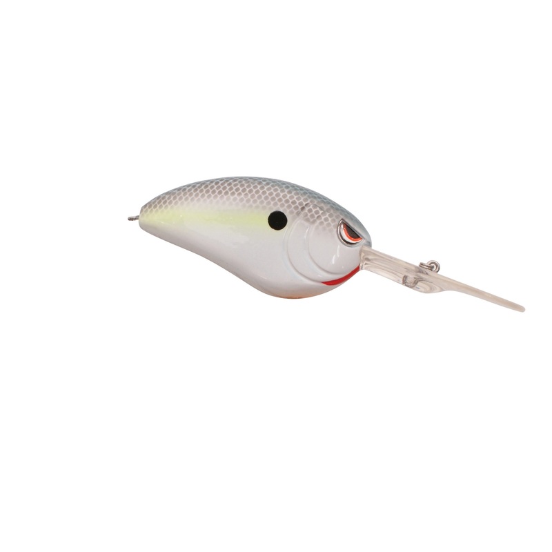 LITTLE JOHN DD 70 NASTY SHAD