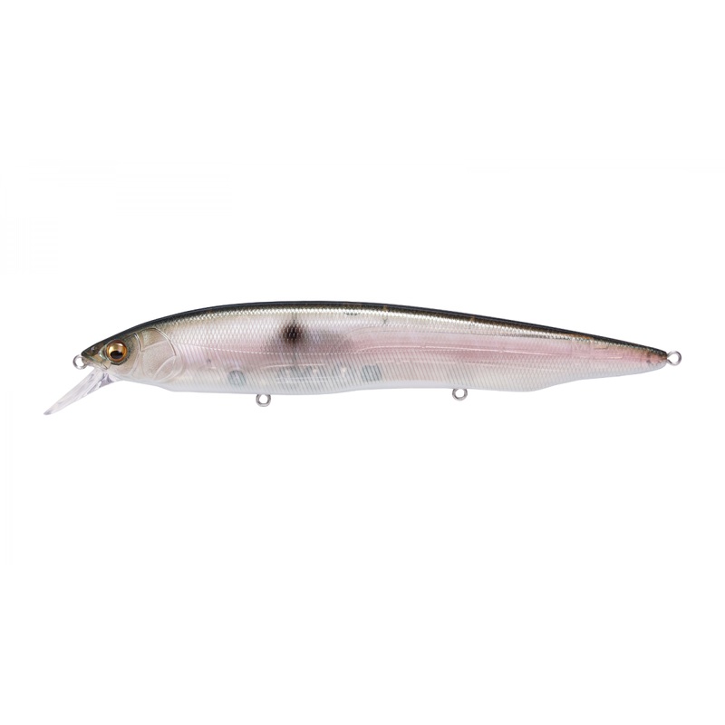 Megabass Kanata - MB Gizzard