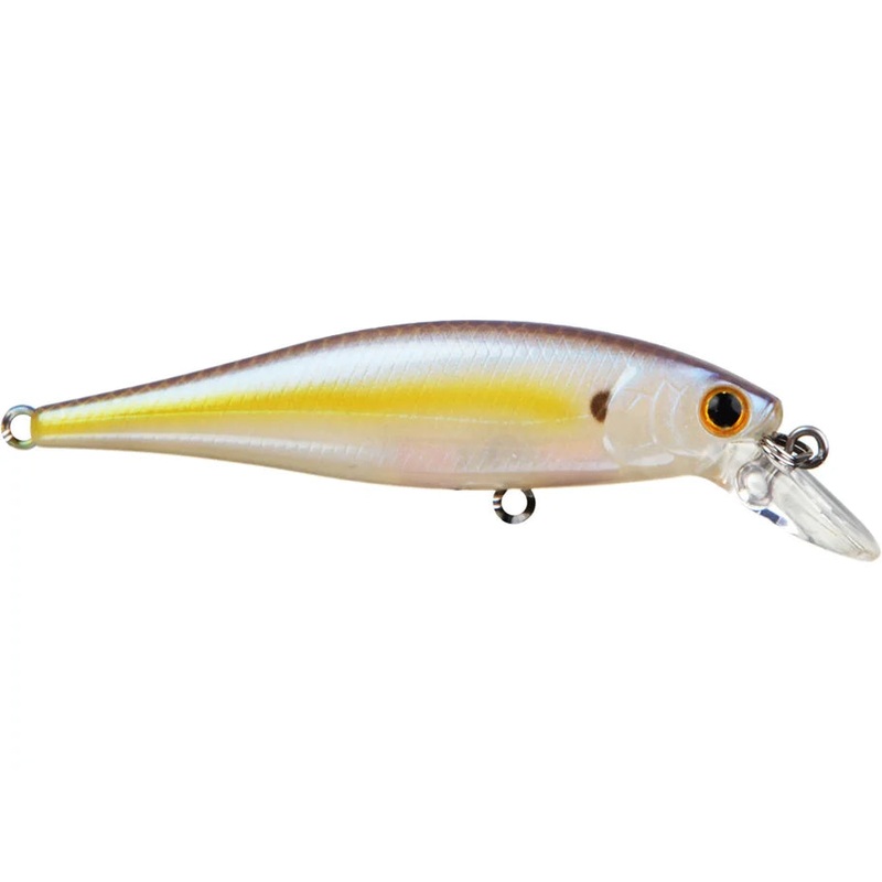 Pointer 100 SP Sexy Chartreuse Shad