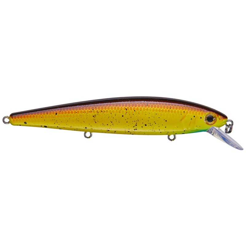 Strike King KVD Jerkbait Bully