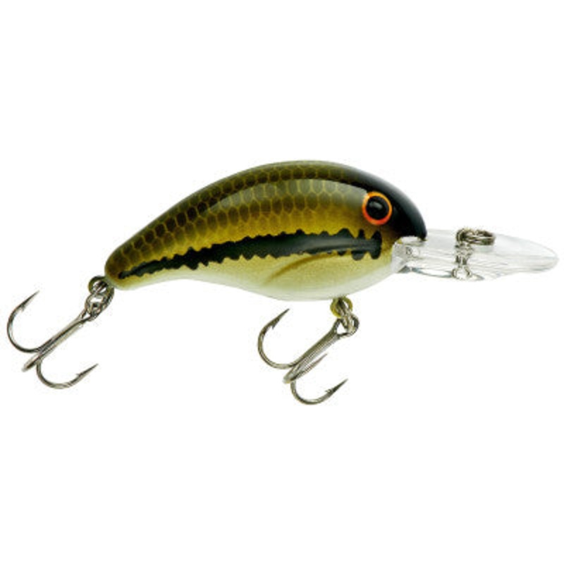 Bandit 200 - Baby Bass
