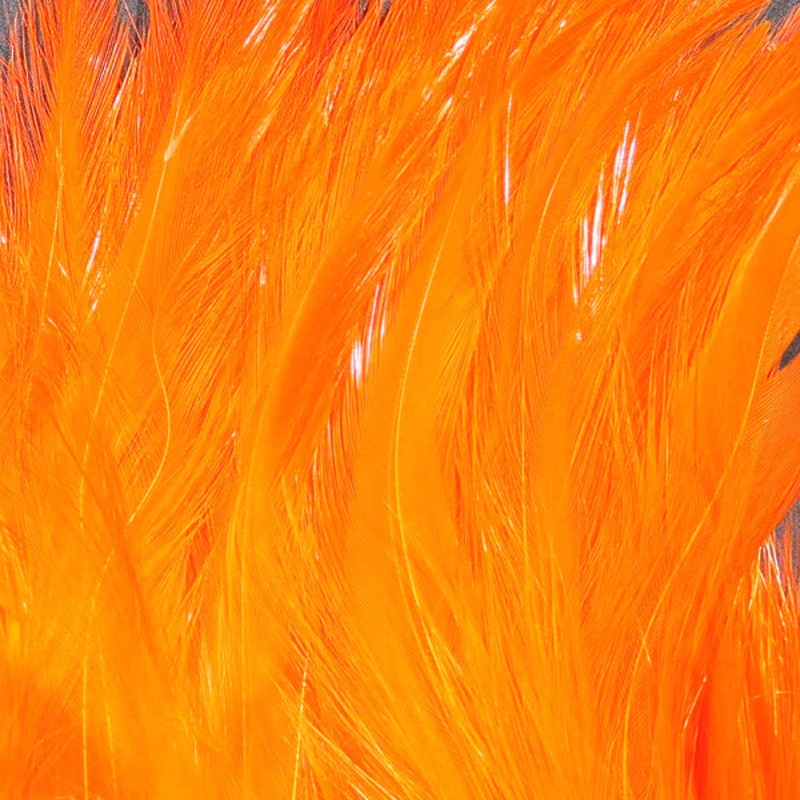 Wapsi Neck Hackle Strung - FL Orange