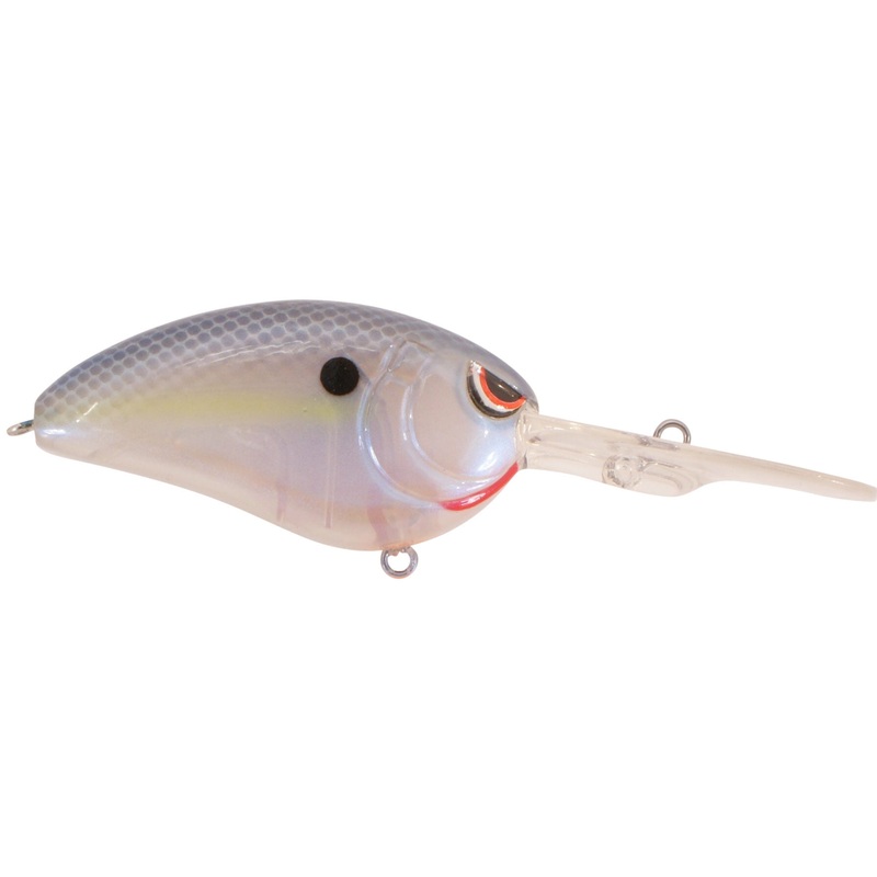 LITTLE JOHN DD 60 SPOOKY NASTY