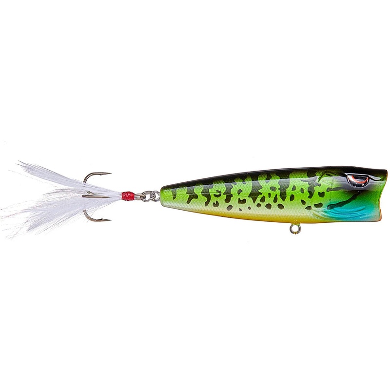 E POP 80 PUMPKINSEED