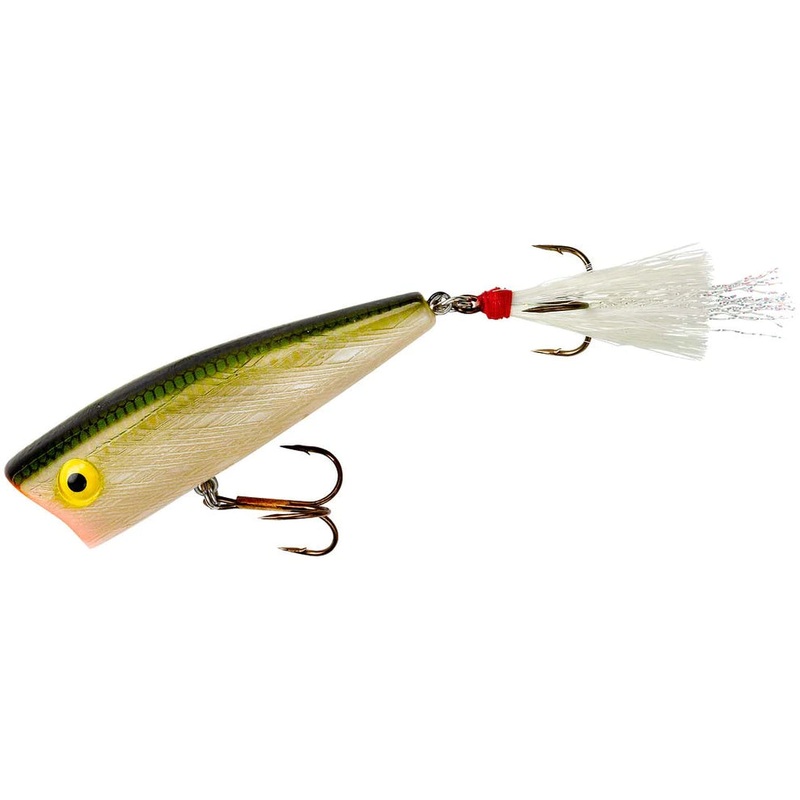 Rebel Pop-R 2 1/2" 1/4oz - Tennessee Shad