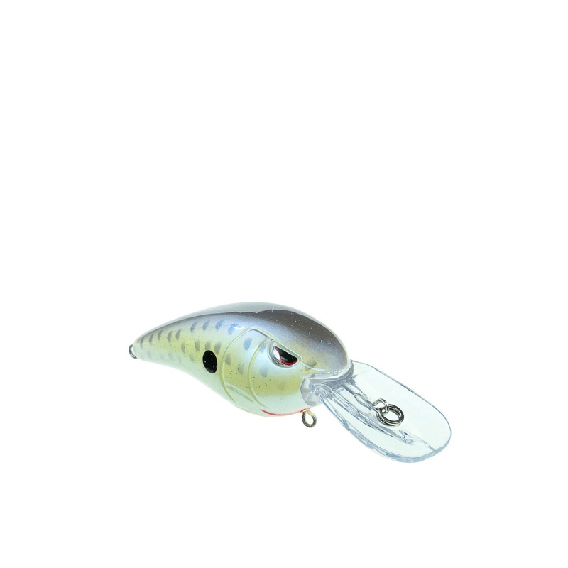 RkCRAWLER MD 55 - GOBY