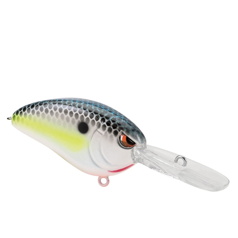 LITTLE JOHN MCR DD 45 NASTY SHAD