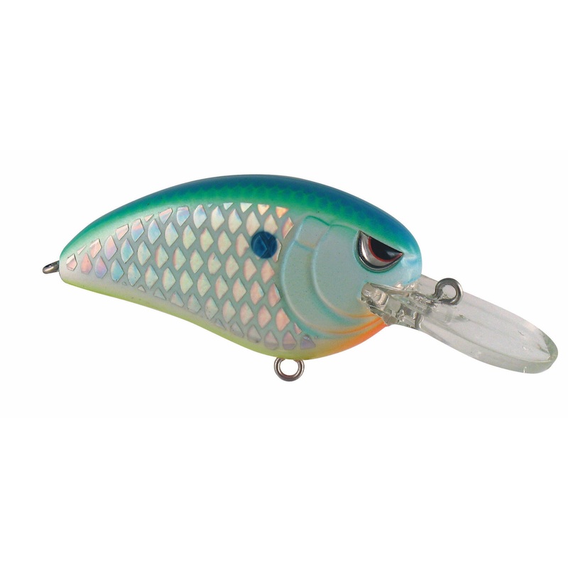 LITTLE JOHN MD CITRUS SHAD