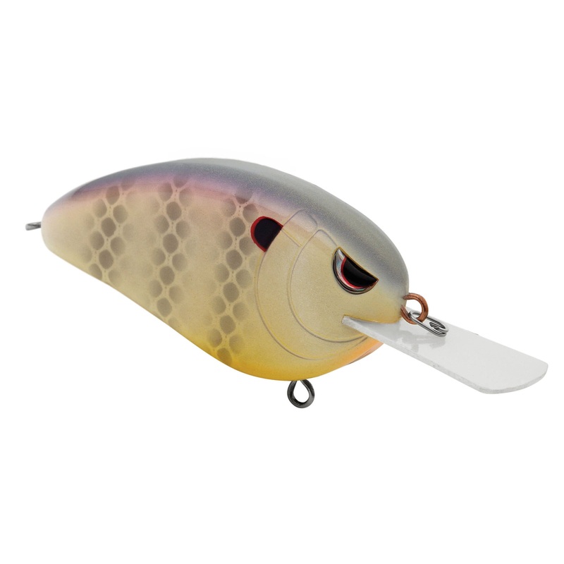 LITTLE JOHN XL 70 TROPICAL PERCH