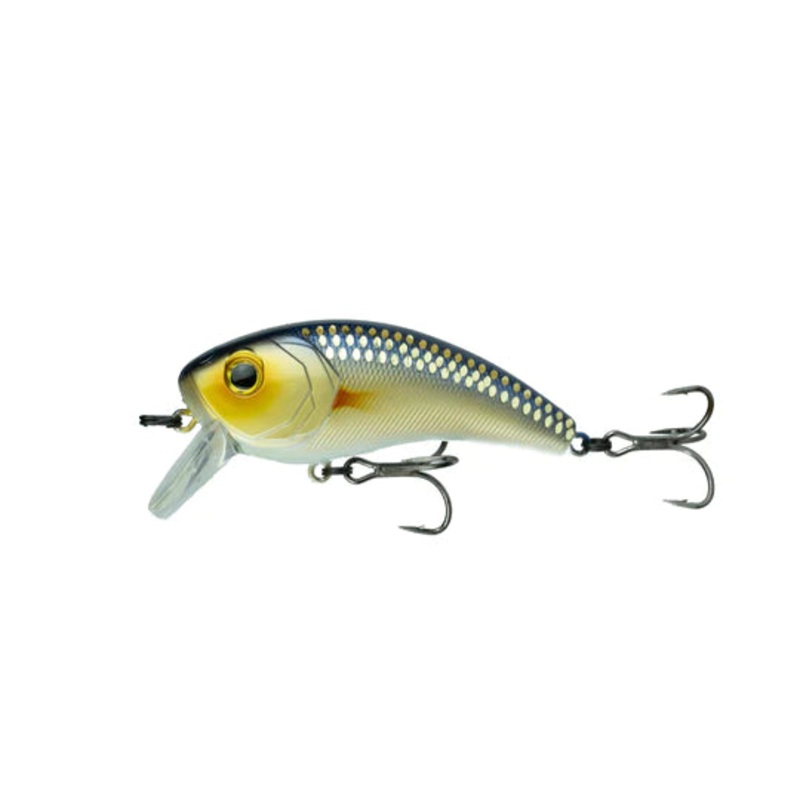 6th Sense Movement 80X - Live Shiner