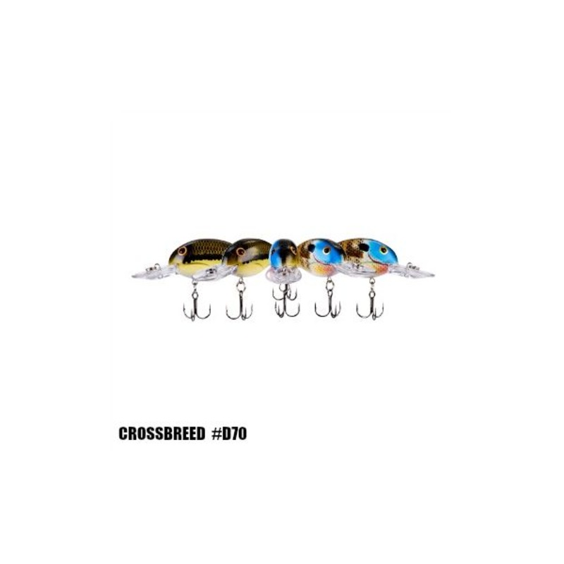 Bandit 200 - Crossbreed