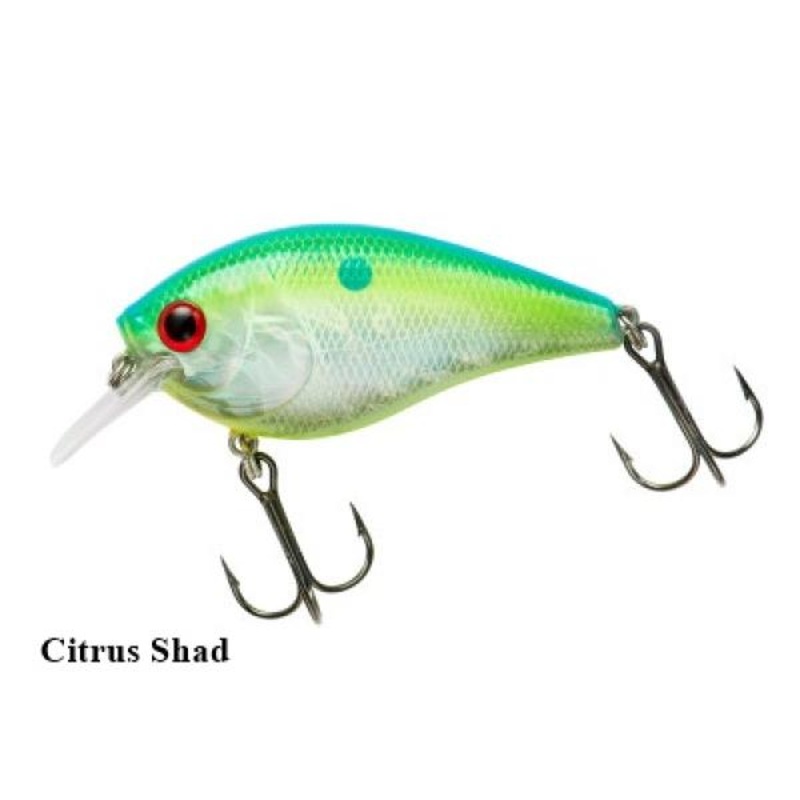 Booyah XCS2 2.75'' Citrus Shad