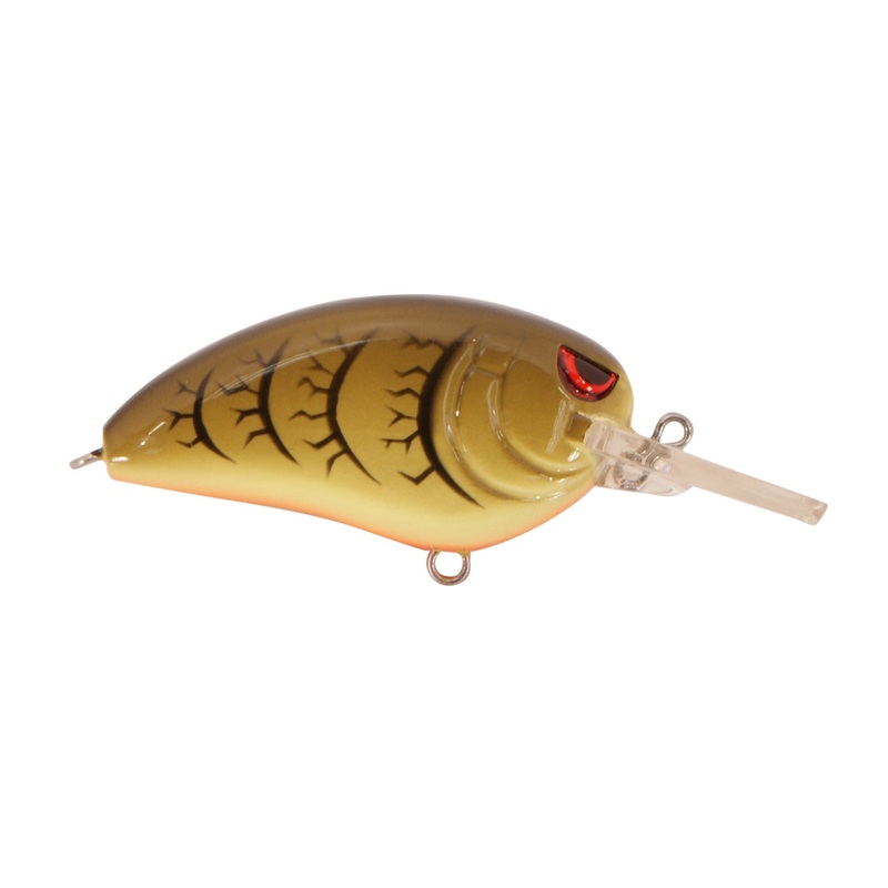 LITTLE JOHN MD GREEN PUMPKIN