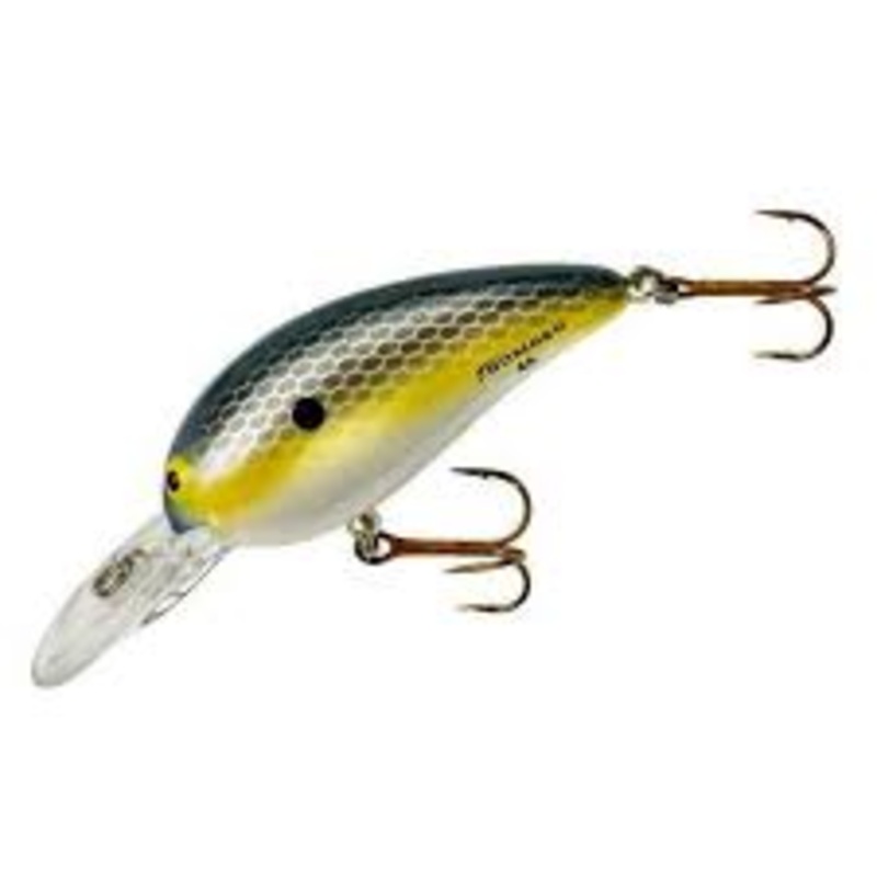 Bomberfoxy Shad