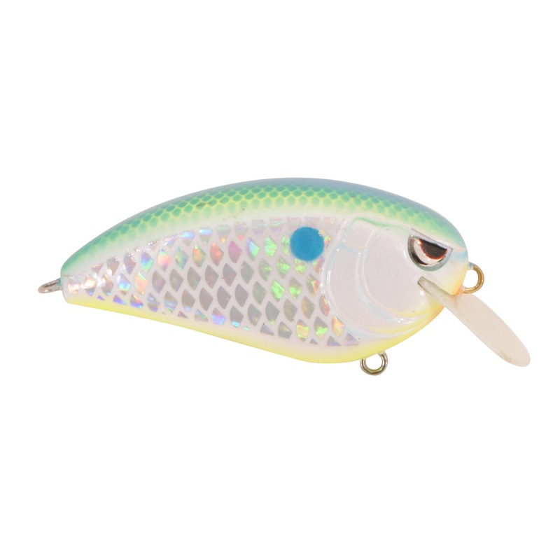 FAT JOHN 60 CITRUS SHAD