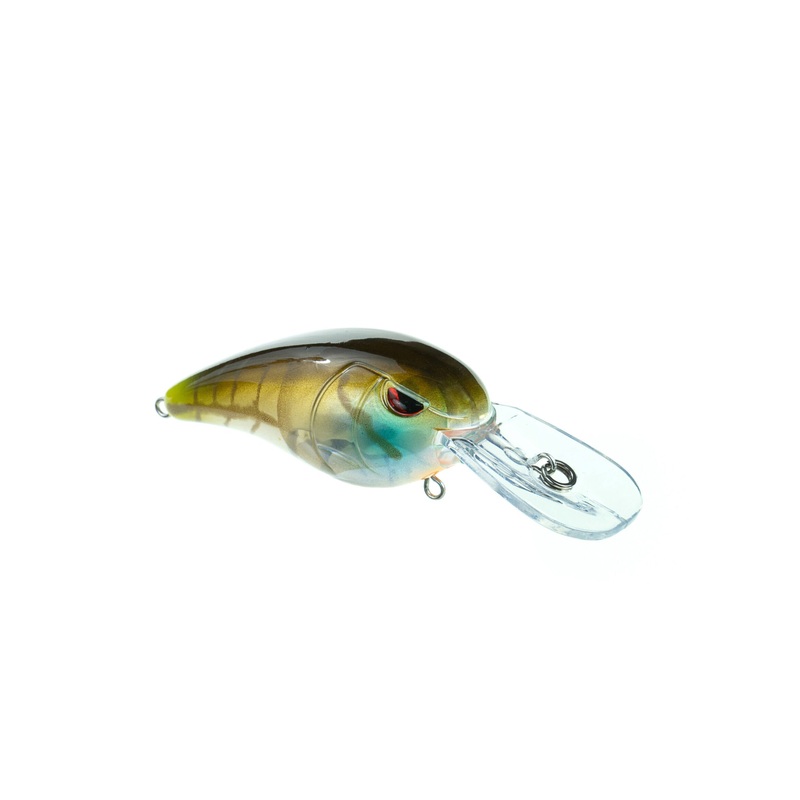 RkCRAWLER 50 - CLEAR GILL