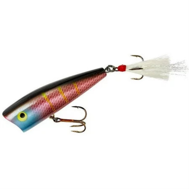 Rebel Pop-R 2 1/2" 1/4oz - Purple Shad