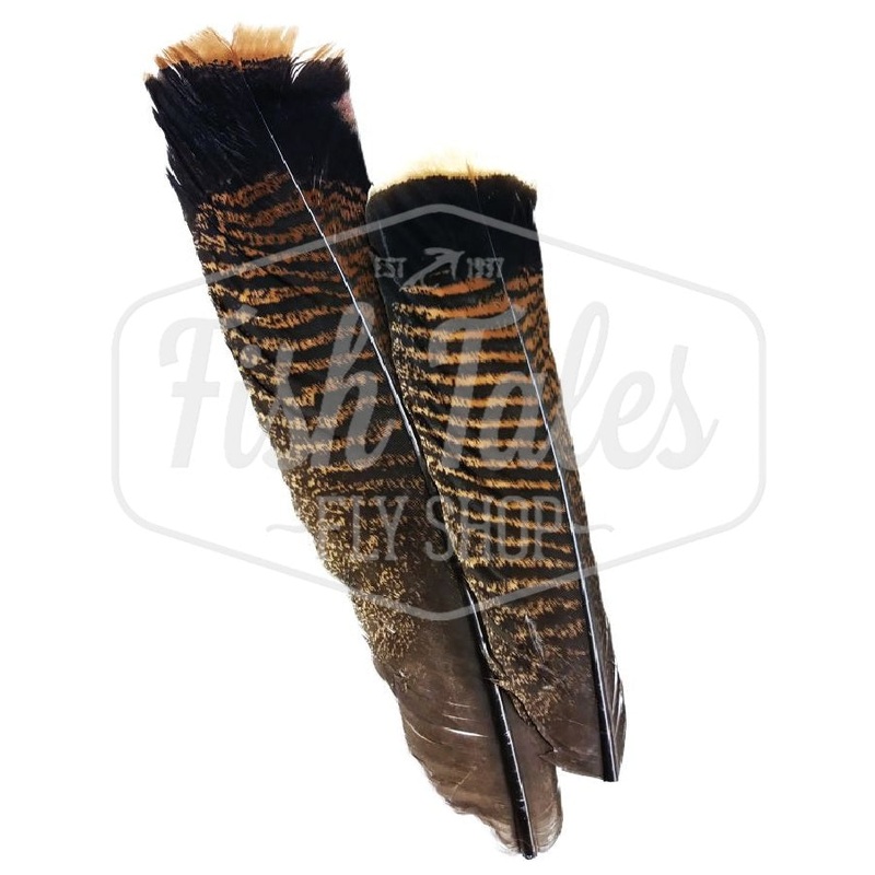Wapsi Ozark Cinnamon Tip Turkey Feathers