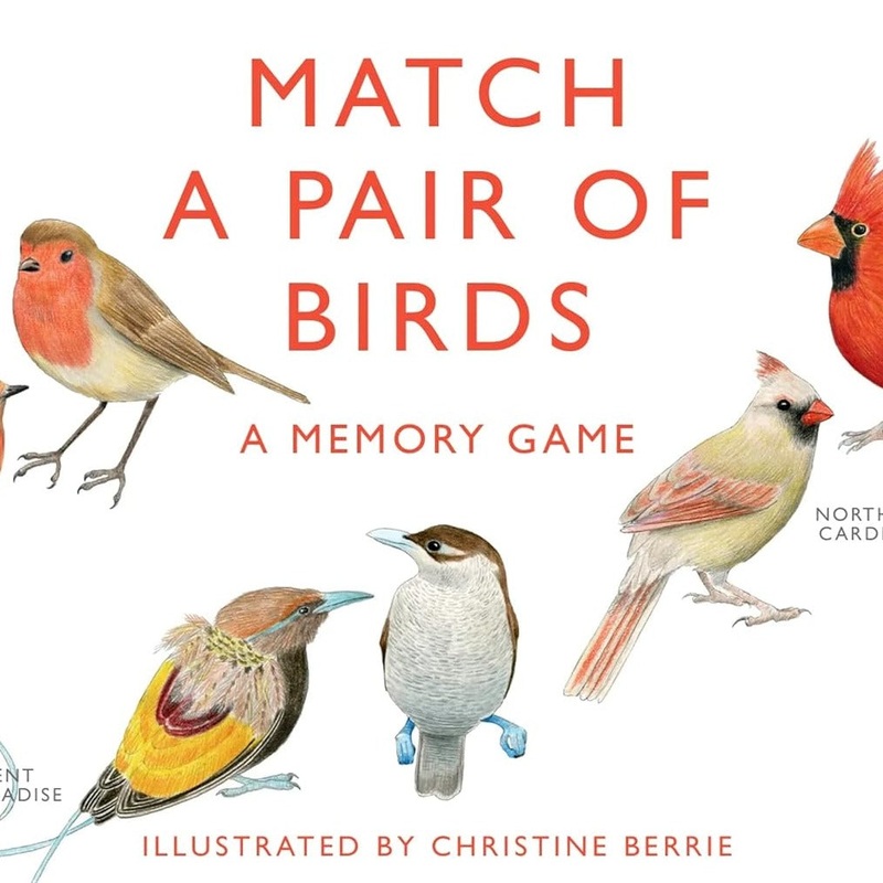 Match A Pair of Birds: A Memory Game by Christine Berrie