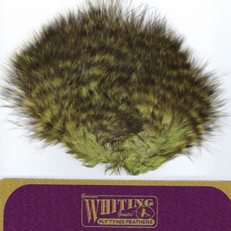 Whiting Farms Super 'Bou