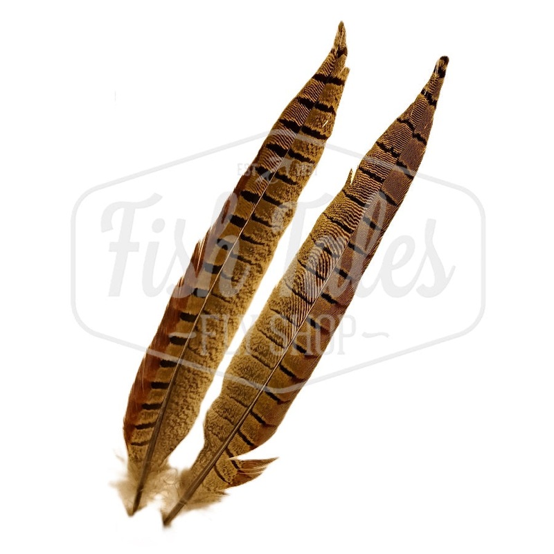 Wapsi Ringneck Tail Feathers - Short