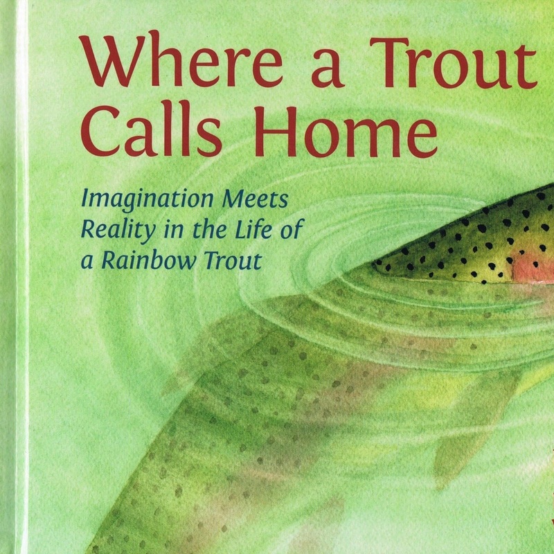 Where a Trout Calls Home by Mike Costello