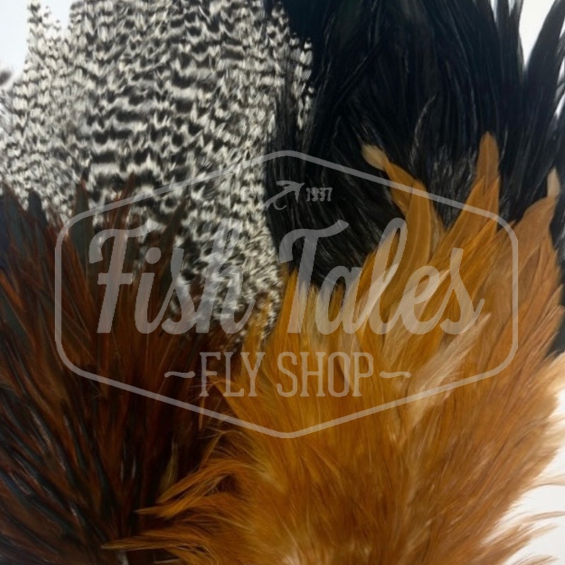 Whiting Farms 4B Rooster Saddle