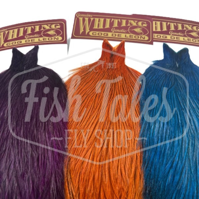 Whiting Farms CDL Rooster Cape