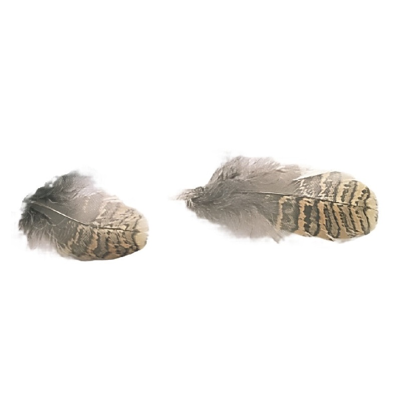 Veniard Woodcock Body Plumage
