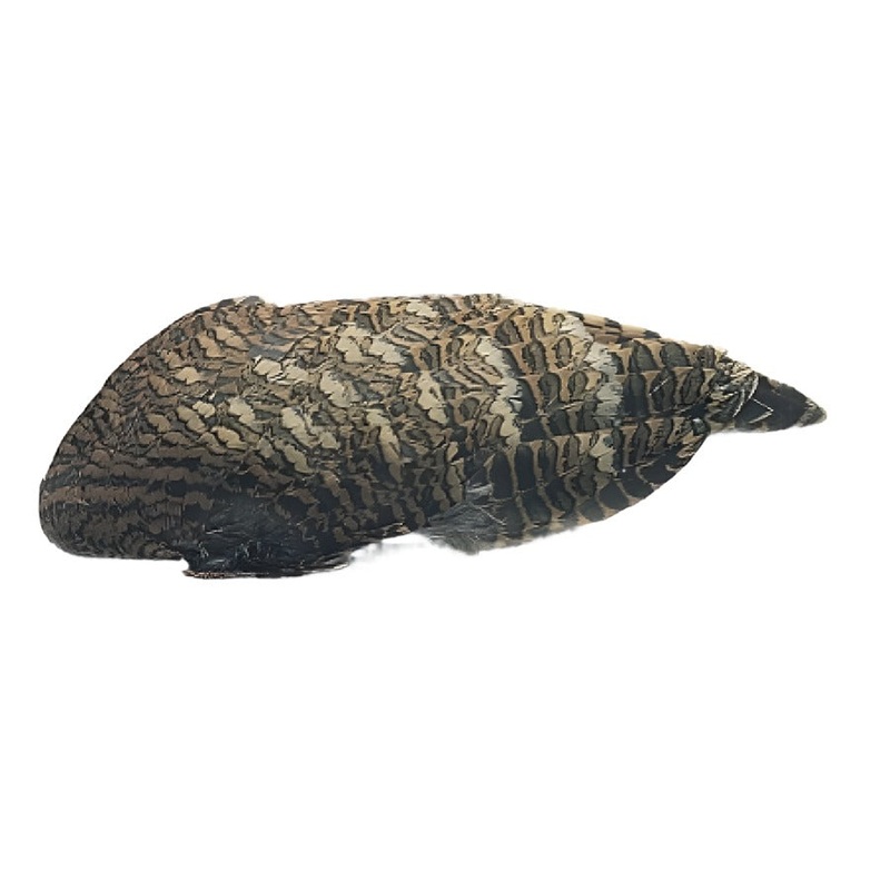 Veniard Woodcock Wing Pair