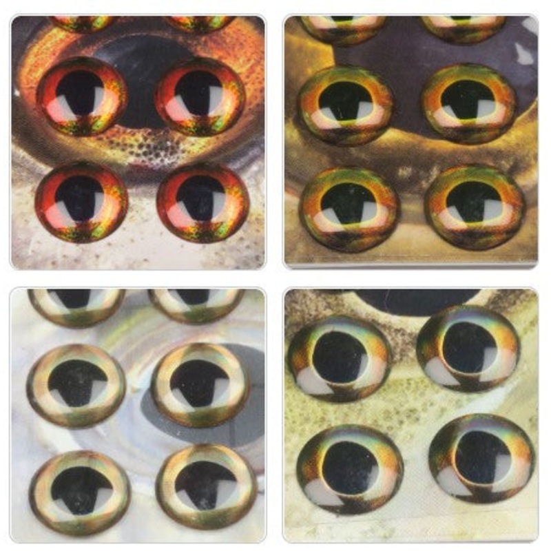 Fish Skull Living Eyes