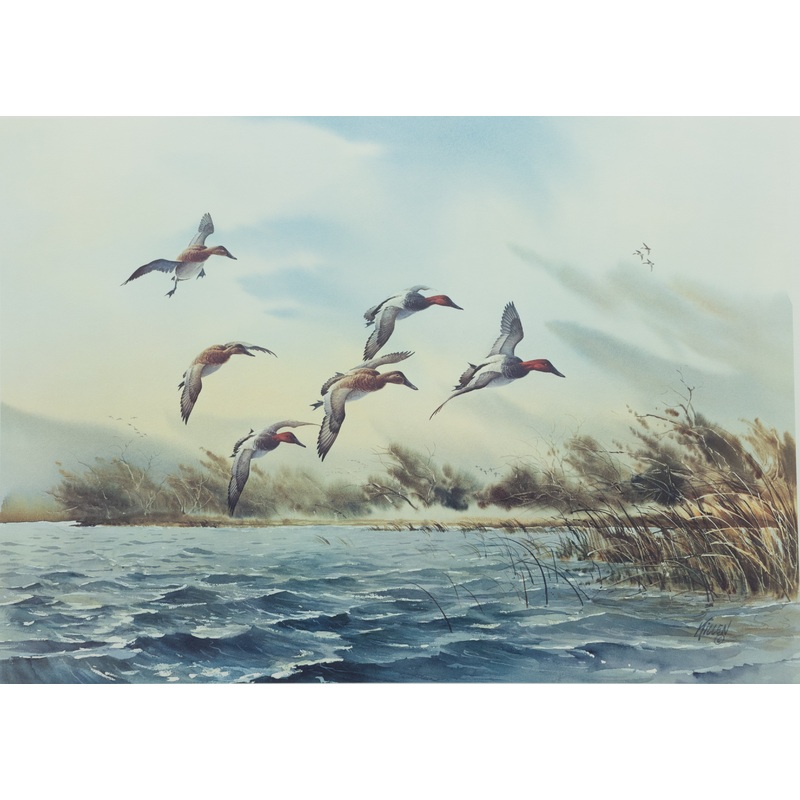 James Killen - Pitching In Canvasbacks - Fine Art Print