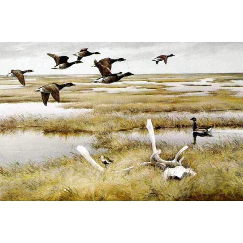 Maynard Reece - Tundra Black Brant - Fine Art Print