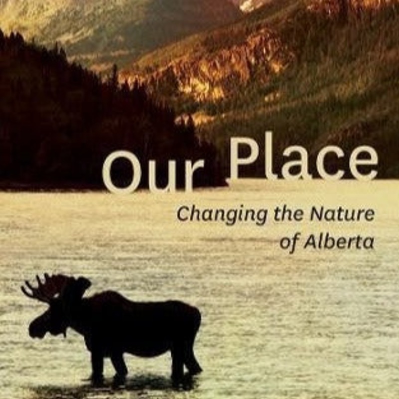 Our Place by Kevin Van Tighem
