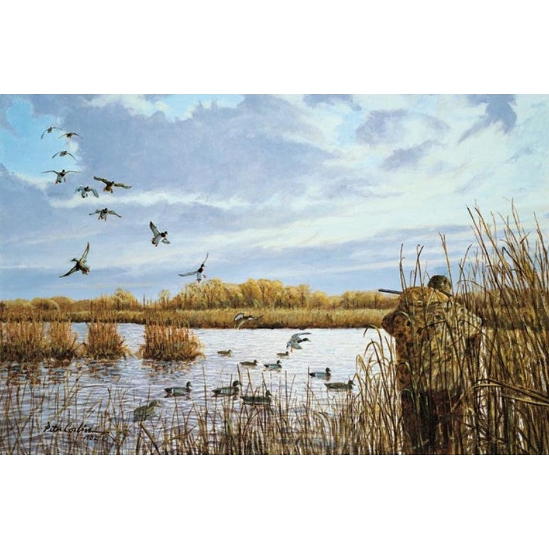 Peter Corbin - Totally Committed - Fine Art Print
