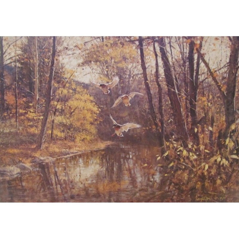 Robert K. Abbett - Mallard Hideaway - Fine Art Print