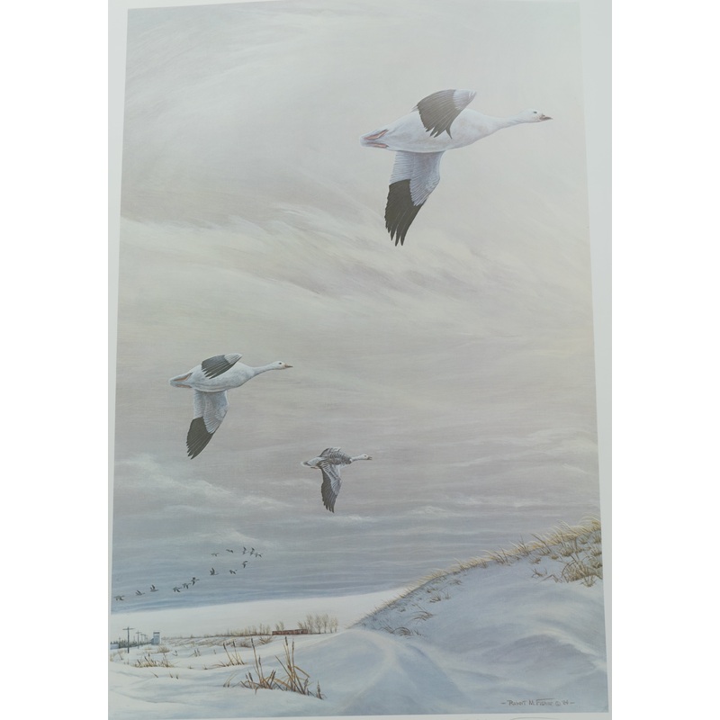 Robert M. Fisher - Snow Geese - Fine Art Print