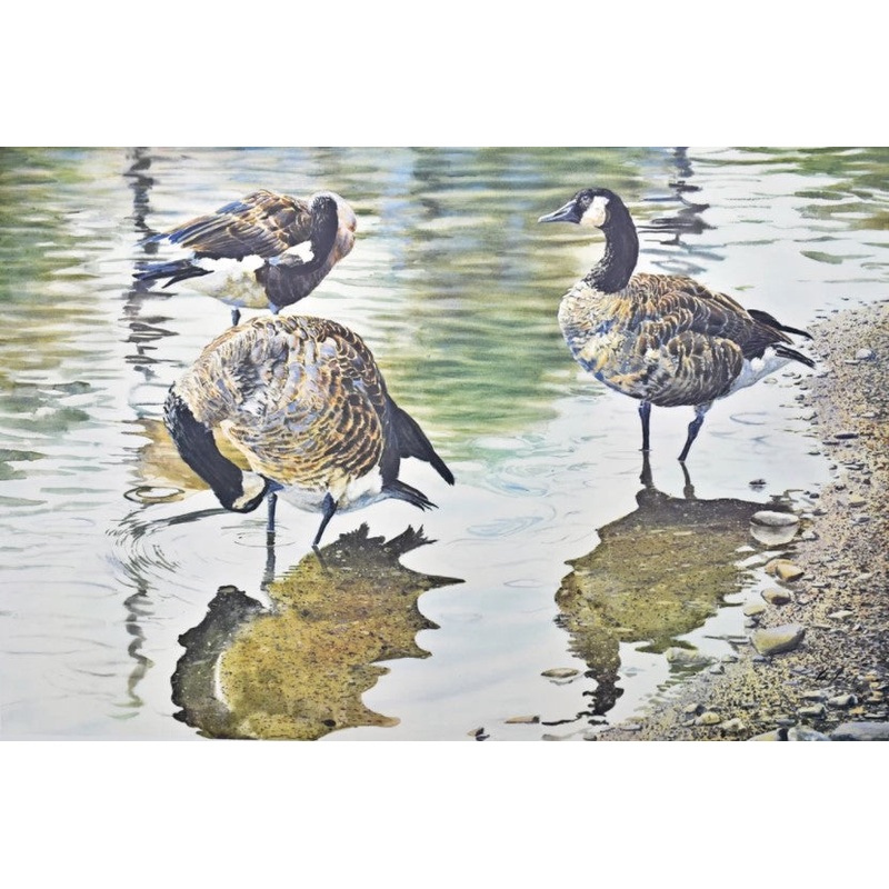 Scott Woolever - Water's Edge - Fine Art Print