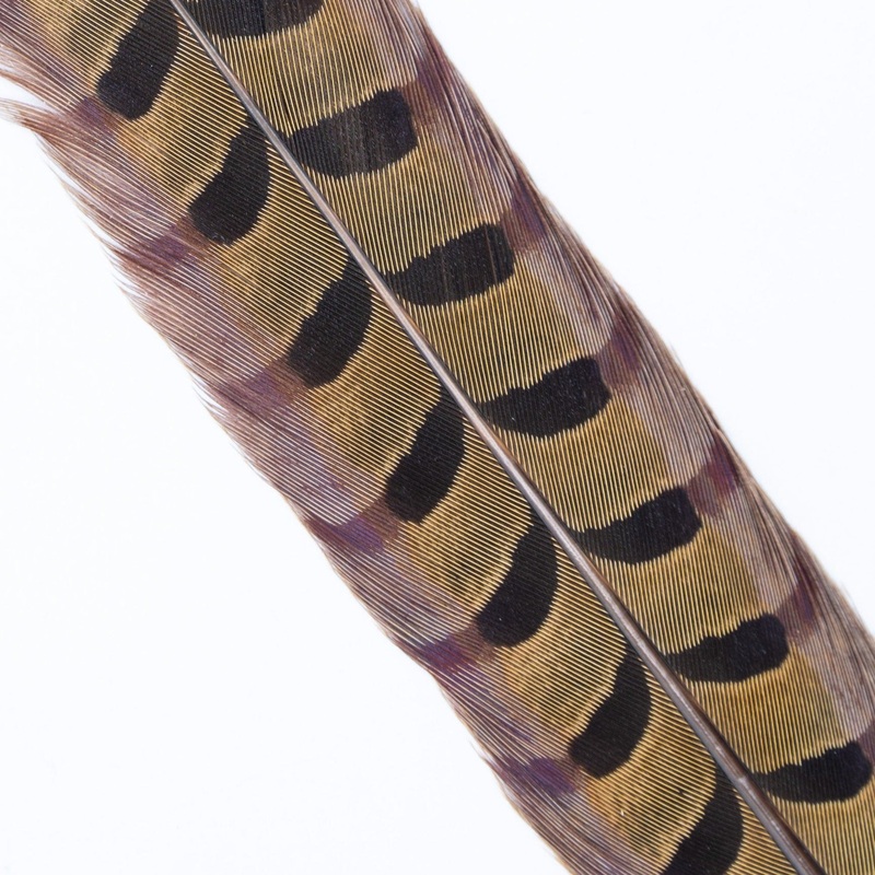 Wapsi Ringneck Pheasant Tail Feathers