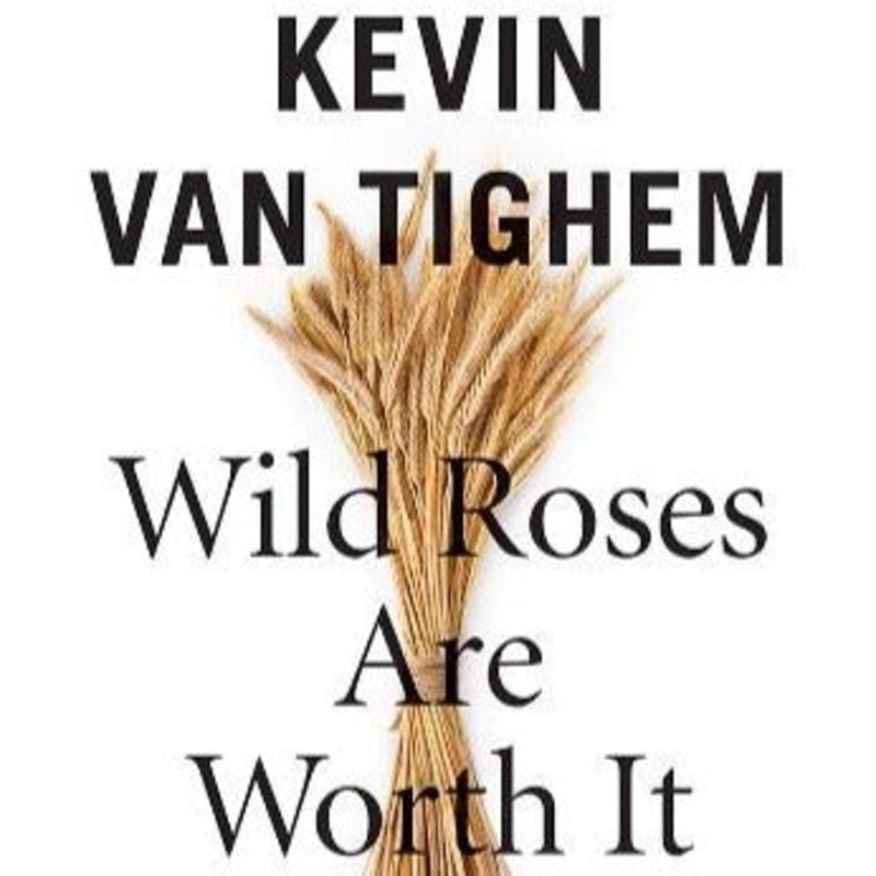 Wild Roses Are Worth It by Kevin Van Tighem