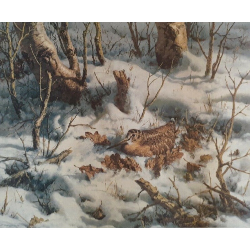 William Hollywood - Winter Woodcock - Fine Art Print