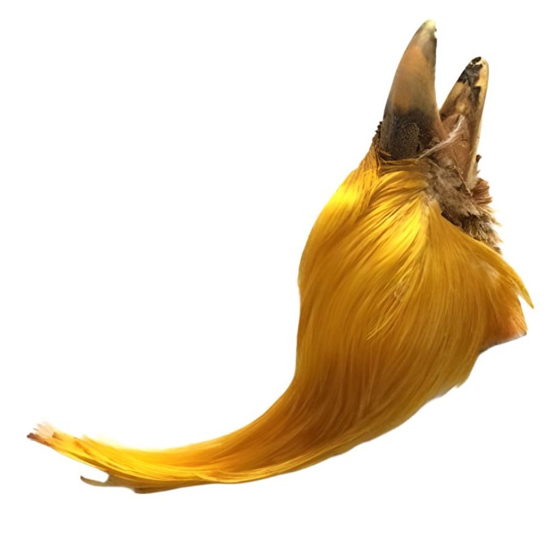 H&H Golden Pheasant Crest