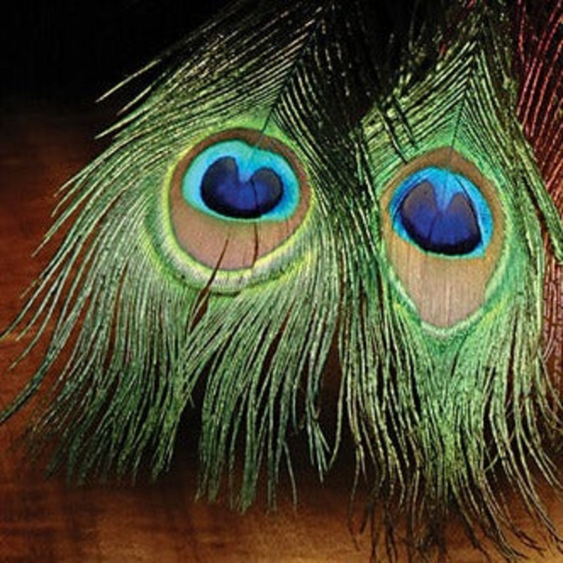 H&H Natural Peacock Eyes