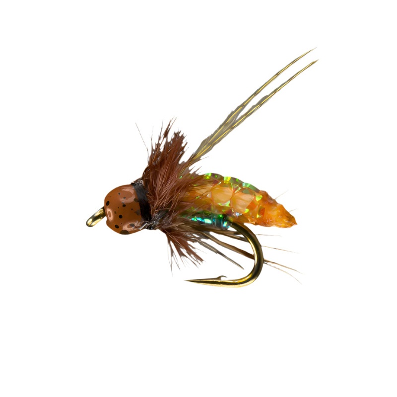 Rio Flies PC Pupa TB Caddis Nymph