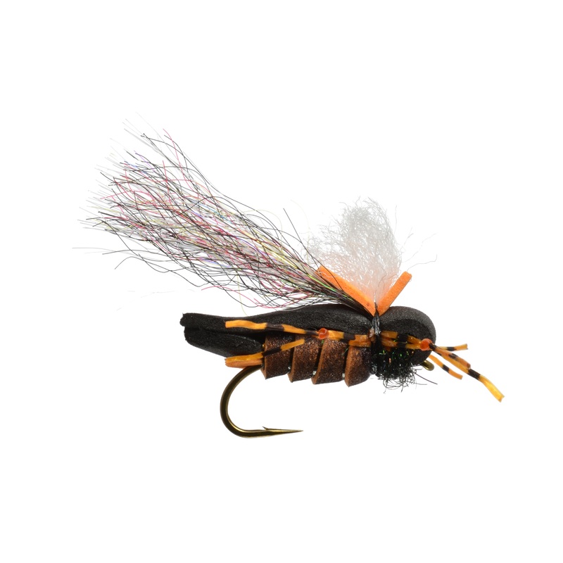 Mason's Hipster Doofus Cicada
