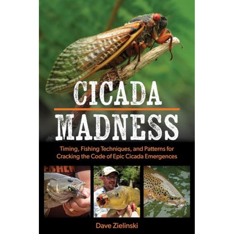 Cicada Madness By Dave Zielinski