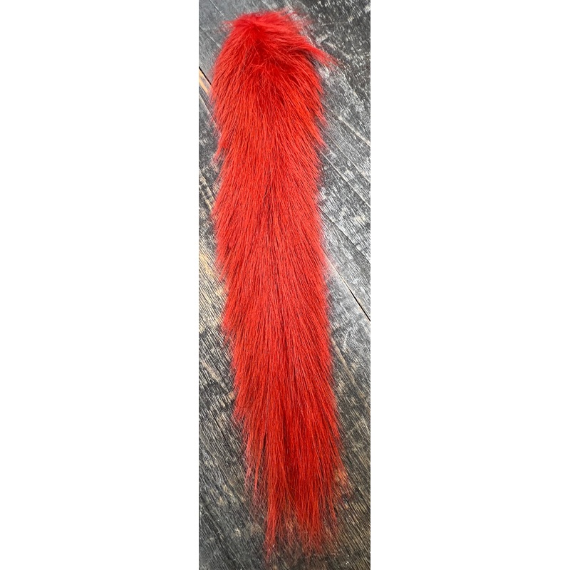 Grey Squirrel Tail