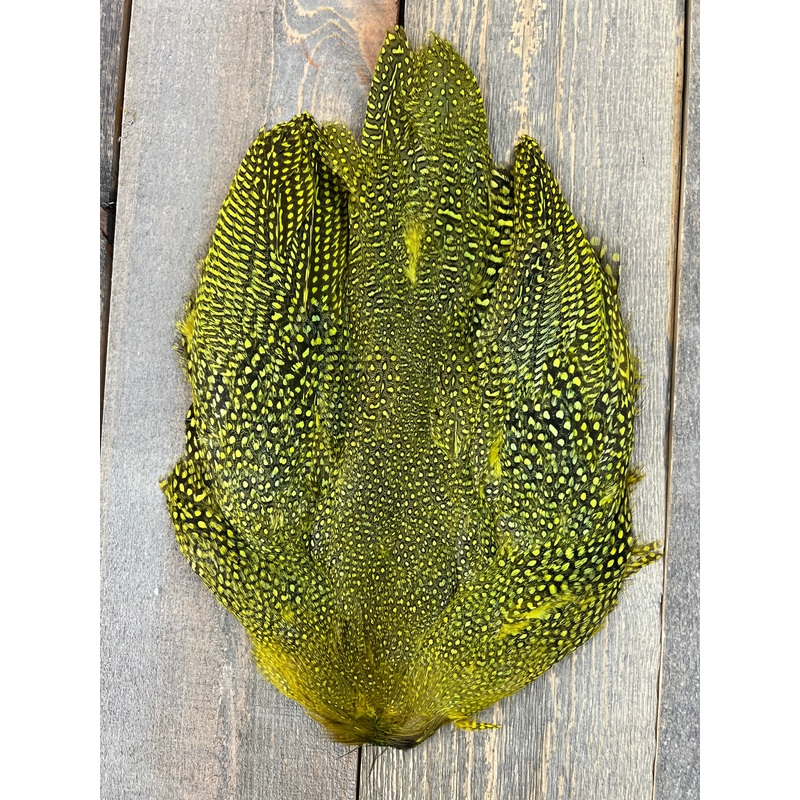Guinea Fowl Skin